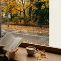 30歳までに読みたい本おすすめ15選｜20代の迷いがほどける「人生の土台」