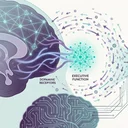 ADHDの認知神経科学！実行機能と注意制御のメカニズムを脳科学で完全解明