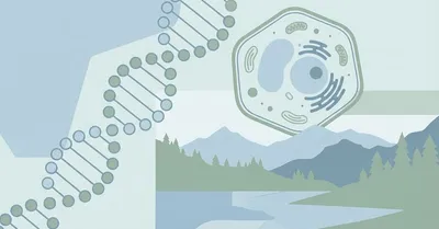 生物学本おすすめ10選【生命のしくみが“つながる”入門書｜進化・細胞・生態】