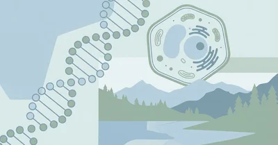 生物学本おすすめ10選【生命のしくみが“つながる”入門書｜進化・細胞・生態】