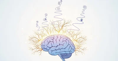 子供の脳育本おすすめ5選！認知科学で解明する才能の伸ばし方と臨界期の衝撃的真実