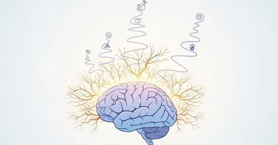 子供の脳育本おすすめ5選！認知科学で解明する才能の伸ばし方と臨界期の衝撃的真実