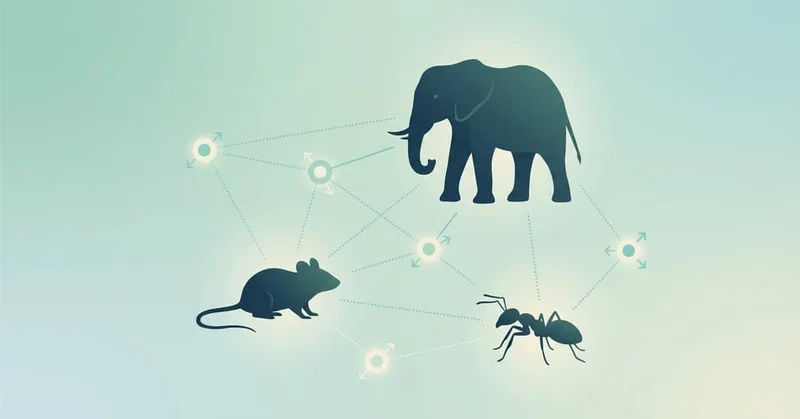 『動物行動学入門』要約｜争い・協力・裏切りを「戦略」として読み解く