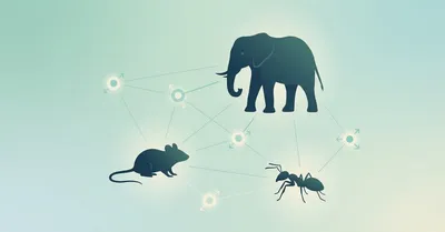 『動物行動学入門』要約｜争い・協力・裏切りを「戦略」として読み解く