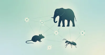 『動物行動学入門』要約｜争い・協力・裏切りを「戦略」として読み解く