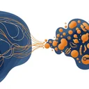 腸脳相関の衝撃！うつ病の90%は腸が原因？最新研究269本が証明する驚愕メカニズム