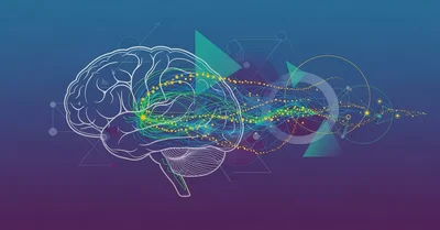 習慣の力 要約&レビュー！脳科学博士課程学生が神経回路から徹底解説する習慣変更の科学