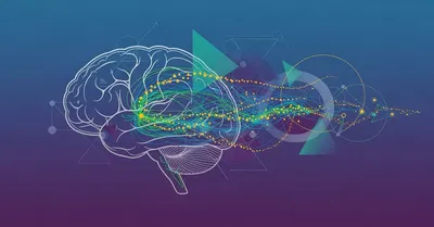 習慣の力 要約&レビュー！脳科学博士課程学生が神経回路から徹底解説する習慣変更の科学