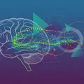 習慣の力 要約&レビュー！脳科学博士課程学生が神経回路から徹底解説する習慣変更の科学