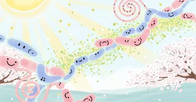花粉症対策本おすすめ2026年版！免疫力調整で症状を半減させる実践的アプローチ