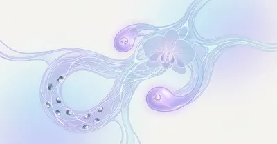 HSPの神経科学！感覚処理感受性の脳内メカニズムを科学で完全解明