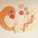 子供の人体漫画おすすめ7選！体と健康を学ぶ親子で読みたい名作