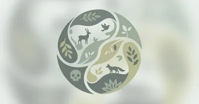 『生き物の死なせ方』要約｜共生の裏側にある「殺す/殺される」を考える