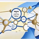 第二言語習得の科学！中級プラトーを脱出する認知メカニズムと3つの突破法