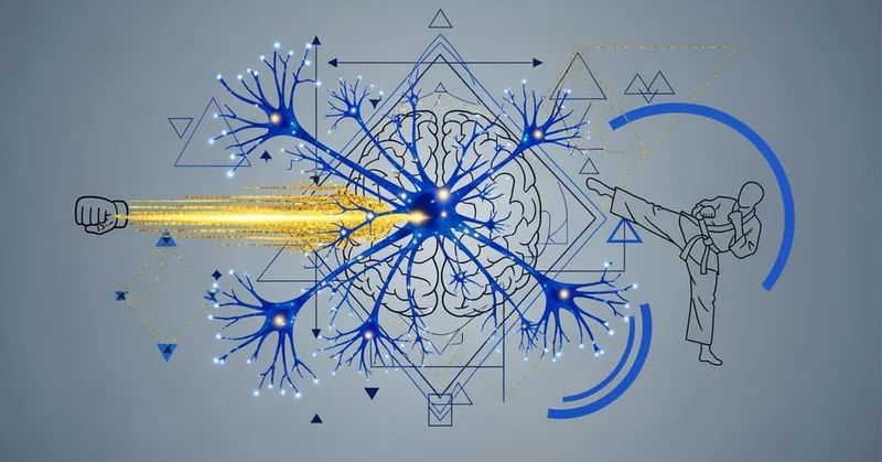 格闘技本おすすめ5選！認知科学で解明する反射神経と判断力向上のメカニズム