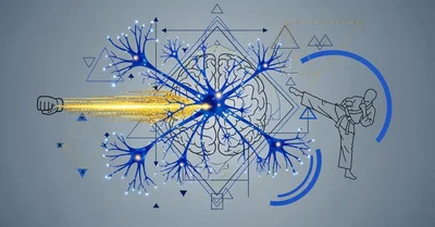 格闘技本おすすめ5選！認知科学で解明する反射神経と判断力向上のメカニズム