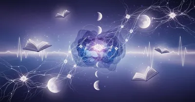スマホ脳から抜け出した私の記憶力革命！28歳OLが海馬を活性化する夜の習慣で人生を変えた本との出会い