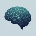 脳科学・神経科学のおすすめ本10選【意識・記憶・学習の仕組みを知る】