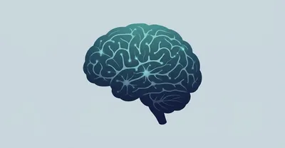 脳科学・神経科学のおすすめ本10選【意識・記憶・学習の仕組みを知る】