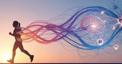 運動で脳が変わる衝撃！うつ病リスク43%減『運動脳』を3ヶ月実践した28歳の変化