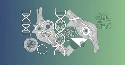 最高の体調 要約&実践レビュー！筋トレ愛好家が6ヶ月検証した食事改善の驚愕効果