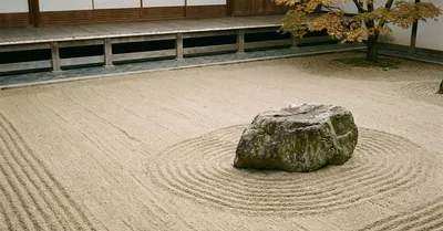 『求めない練習』要約｜ミニマリズム時代のショーペンハウアー幸福論