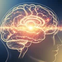 自己肯定感高い人の脳で何が起きている？認知科学で解明する4つの特徴と神経メカニズム