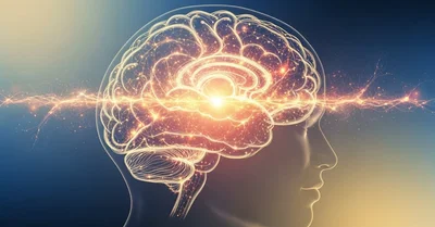 自己肯定感高い人の脳で何が起きている？認知科学で解明する4つの特徴と神経メカニズム