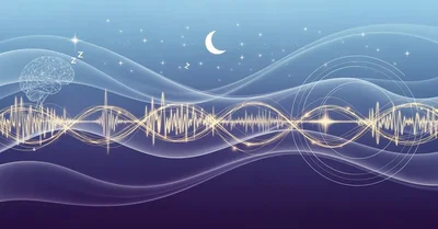 『スタンフォード式 最高の睡眠』眠れない夜を科学的に解決する｜編集長が30年の睡眠研究を徹底検証