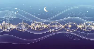 『スタンフォード式 最高の睡眠』眠れない夜を科学的に解決する｜編集長が30年の睡眠研究を徹底検証