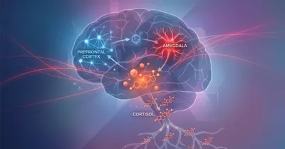 ストレスの脳科学！コルチゾールを制御する認知的アプローチと実践法