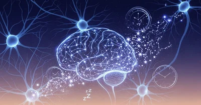 睡眠質悪い人必読！脳科学で改善する8時間睡眠メソッドと衝撃の真実