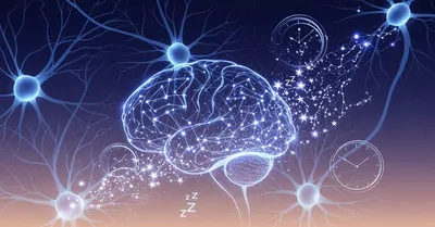 睡眠質悪い人必読！脳科学で改善する8時間睡眠メソッドと衝撃の真実
