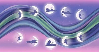 ホルモンバランスと睡眠の真実！生理前の不眠に悩む28歳が『女性ホルモンにいいこと大全』で激変した3つの習慣