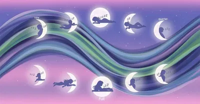 ホルモンバランスと睡眠の真実！生理前の不眠に悩む28歳が『女性ホルモンにいいこと大全』で激変した3つの習慣