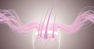 女性薄毛対策本で髪復活！28歳の私が実践した8割改善の科学的メソッド