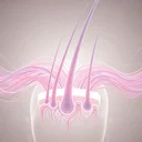 女性薄毛対策本で髪復活！28歳の私が実践した8割改善の科学的メソッド