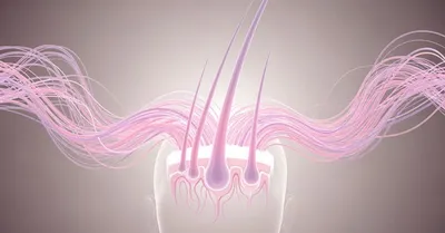 女性薄毛対策本で髪復活！28歳の私が実践した8割改善の科学的メソッド