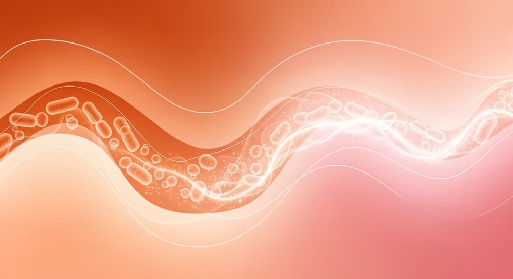 美肌本おすすめ2025！腸内環境改善で肌年齢マイナス10歳を実現する10冊