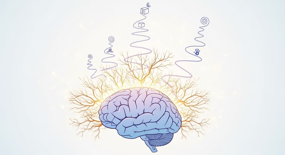 子供の脳発達を最大化する科学的アプローチ