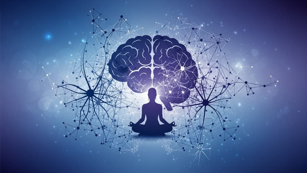 『マインドフルネス認知療法』瞑想の科学的効果と実践法を認知科学で解明